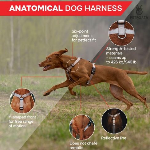 Anatomically Correct Y-Shape Dog Harness, Non-Restrictive, No Pull, 6-Point Adjustable for Natural Movement, Escape-Proof, Reflective, Easy-Fit, Medium, Beige (Red, Medium) in Saudi Arabia