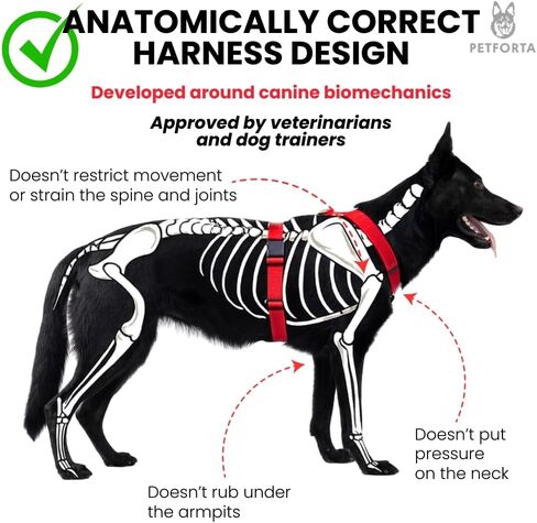 Anatomically Correct Y-Shape Dog Harness, Non-Restrictive, No Pull, 6-Point Adjustable for Natural Movement, Escape-Proof, Reflective, Easy-Fit, Medium, Beige (Red, Medium) in Saudi Arabia