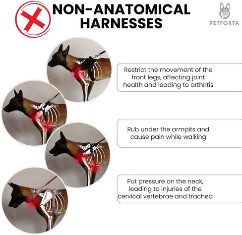 Anatomically Correct Y-Shape Dog Harness, Non-Restrictive, No Pull, 6-Point Adjustable for Natural Movement, Escape-Proof, Reflective, Easy-Fit, Medium, Beige (Red, Medium) in Saudi Arabia