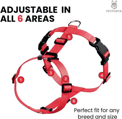 Anatomically Correct Y-Shape Dog Harness, Non-Restrictive, No Pull, 6-Point Adjustable for Natural Movement, Escape-Proof, Reflective, Easy-Fit, Medium, Beige (Red, Medium) in Saudi Arabia
