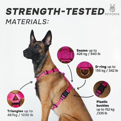 Anatomically Correct Y-Shape Dog Harness, Non-Restrictive, No Pull, 6-Point Adjustable for Natural Movement, Escape-Proof, Reflective, Easy-Fit, Medium, Beige (Red, Medium) in Saudi Arabia