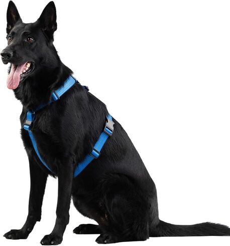 Anatomically Correct Y-Shape Dog Harness, Non-Restrictive, No Pull, 6-Point Adjustable for Natural Movement, Escape-Proof, Reflective, Easy-Fit, Medium, Beige (Red, Medium) in Saudi Arabia
