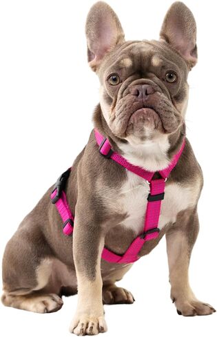 Anatomically Correct Y-Shape Dog Harness, Non-Restrictive, No Pull, 6-Point Adjustable for Natural Movement, Escape-Proof, Reflective, Easy-Fit, Medium, Beige (Red, Medium) in Saudi Arabia