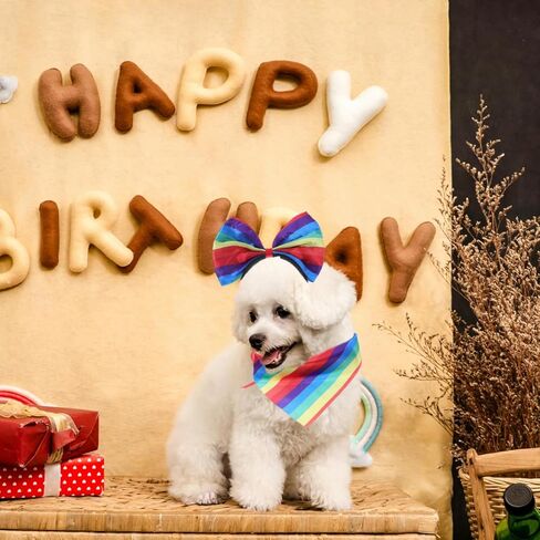 jojofuny Rainbow Pet Costume Set with Headband Scarf and Tutu Skirt Lightweight Dog Outfit for Small Dogs Pride Month Party Accessories in Saudi Arabia