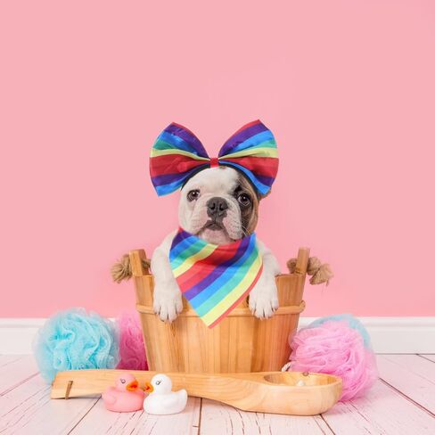 jojofuny Rainbow Pet Costume Set with Headband Scarf and Tutu Skirt Lightweight Dog Outfit for Small Dogs Pride Month Party Accessories in Saudi Arabia