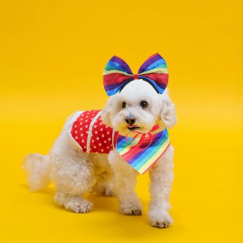 jojofuny Rainbow Pet Costume Set with Headband Scarf and Tutu Skirt Lightweight Dog Outfit for Small Dogs Pride Month Party Accessories in Saudi Arabia