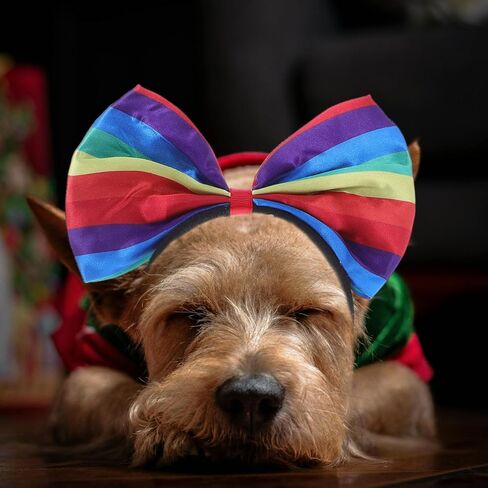 jojofuny Rainbow Pet Costume Set with Headband Scarf and Tutu Skirt Lightweight Dog Outfit for Small Dogs Pride Month Party Accessories in Saudi Arabia
