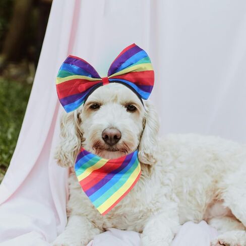 jojofuny Rainbow Pet Costume Set with Headband Scarf and Tutu Skirt Lightweight Dog Outfit for Small Dogs Pride Month Party Accessories in Saudi Arabia