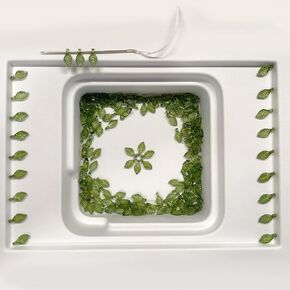 Green Acrylic Leaf Beads 120PCS – Transparent Leaf Charms for Jewelry Making, Acrylic Plant Beads for Earrings, Bracelets & Necklaces (Mixed Styles) in Saudi Arabia