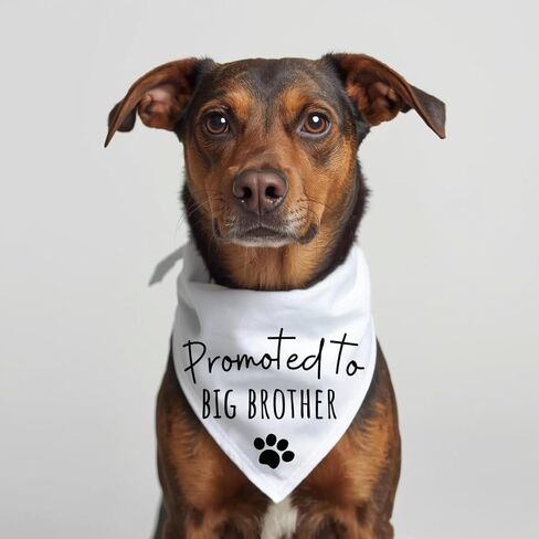 Promoted to Big Brother Dog Bandana White Cotton Baby Pregnancy Announcement pet Scarf Sign Puppy Gift (Large) in Saudi Arabia