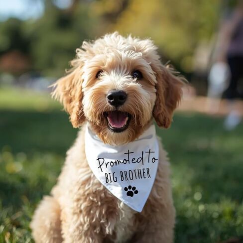 Promoted to Big Brother Dog Bandana White Cotton Baby Pregnancy Announcement pet Scarf Sign Puppy Gift (Large) in Saudi Arabia