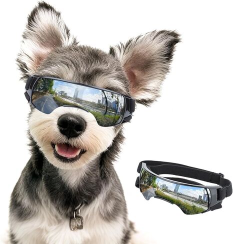 Dog Goggles for Small Dog Doggy Goggles with Adjustable Straps Anti-UV Doggie Sunglasses Windproof Eye Protection Pet Sunglasses to Small Breed, Silver in Saudi Arabia