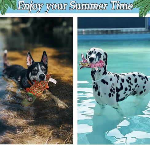 BoomBone Squeaky Dog Water Pool Toys 4 Pack, Interactive Summer Essentials Floating Dog Toys for Small Meidum Dogs Water Beach Fetch in Saudi Arabia
