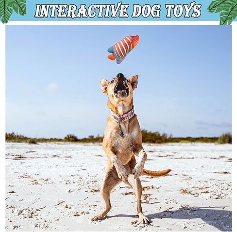 BoomBone Squeaky Dog Water Pool Toys 4 Pack, Interactive Summer Essentials Floating Dog Toys for Small Meidum Dogs Water Beach Fetch in Saudi Arabia