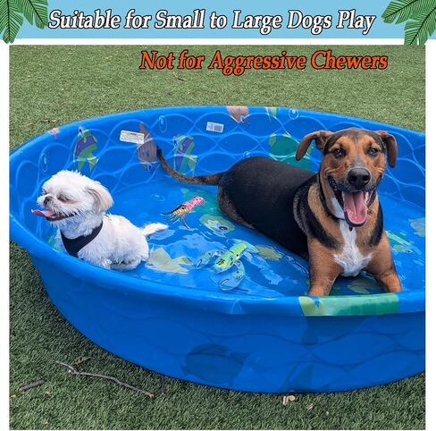 BoomBone Squeaky Dog Water Pool Toys 4 Pack, Interactive Summer Essentials Floating Dog Toys for Small Meidum Dogs Water Beach Fetch in Saudi Arabia