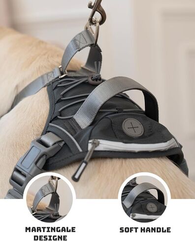 DF No Pull Martingale Dog Harness, Easy Walking & Escape Proof, Reflective & Adjustable Fit, No Twist Front Clip Harness with Handle and Zippered Pocket, Gray, 3/4", Chest 22"-27" in Kuwait