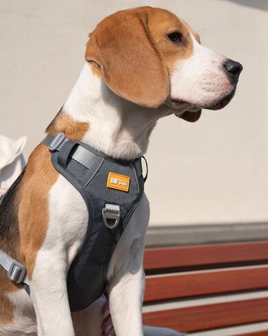 DF No Pull Martingale Dog Harness, Easy Walking & Escape Proof, Reflective & Adjustable Fit, No Twist Front Clip Harness with Handle and Zippered Pocket, Gray, 3/4", Chest 22"-27" in Kuwait