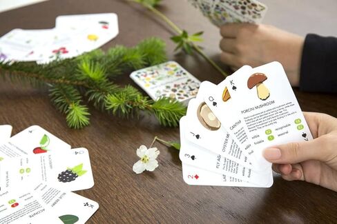 Kikkerland Foragers Playing Cards, 1 EA in Saudi Arabia