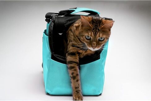 Sleepypod Atom - Airline Approved Pet Carrier and Crash-Tested Car Seat for Cats and Dogs up to 12 lbs. (Strawberry Red) in Saudi Arabia