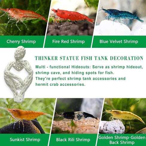 LIYAOLI Shrimp Hide Cave for Aquarium Sculpture Decor- Modern Shrimp Hiding Spots for Tank,3D Printed White Fish Tank Accessories Decorations, Safe Shelter for Shrimps/Betta/Turtles (White) in Saudi Arabia
