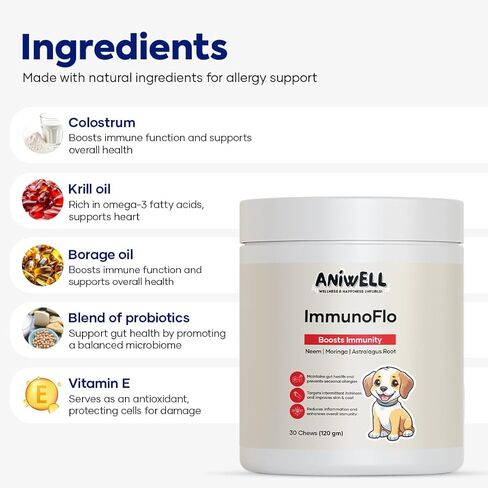 ImmunoFlo: حل طبيعي لعصر جديد للحساسية والمناعة، مدعم بجذور القتاد وبذور الكتان C3 - يعزز تخفيف الحساسية الموسمية، وصحة الأمعاء والجهاز الهضمي - مضغ ناعم in Kuwait