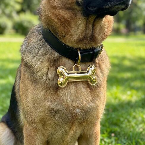 Custom Dog ID Tag with Engraving, Double-Sided Pet Name and Contact Info Collar Charm, One Piece (Gold) in Saudi Arabia
