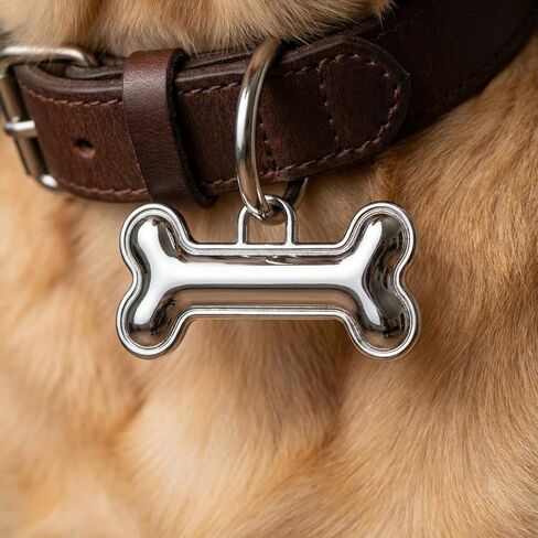 Custom Dog ID Tag with Engraving, Double-Sided Pet Name and Contact Info Collar Charm, One Piece (Gold) in Saudi Arabia