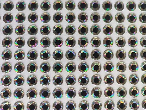 300 Pcs 6mm 3D Soft Holographic Fishing Lure Jig Fly Tying Material Craft Doll DIY Eyes Fishing Fly Tying Materials in Saudi Arabia