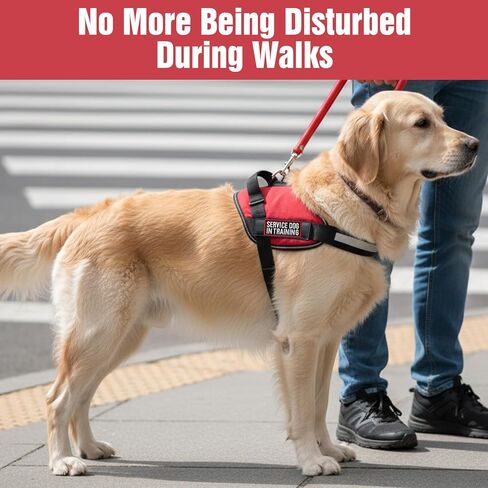 2 PCS Service Dog in Training Patches, Black Service Dog Patch with Hook and Loop, Red Border Pet Vest Patch for in Training Dogs and Emotional Support Dogs in Saudi Arabia