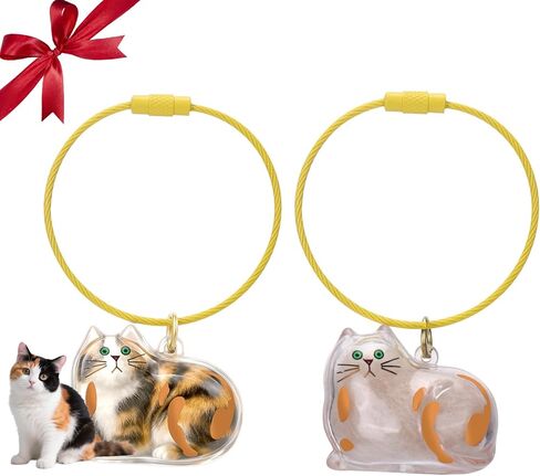 BABORUI Pet Hair Keychain, Transparent Pets Fur Keepsake Keychain for Cherish Love Memory, Pets Memorial Gifts for Pet Lovers in Saudi Arabia