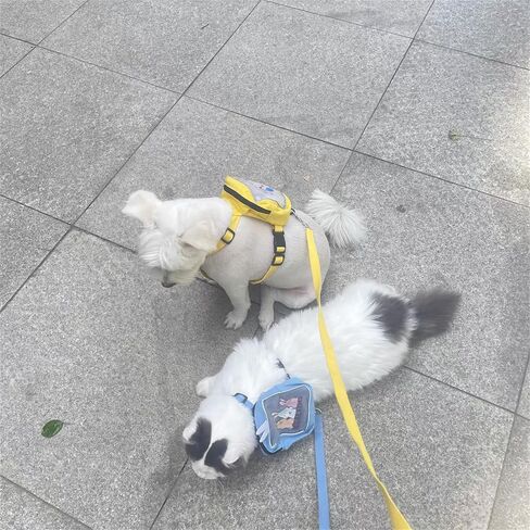 Dog Harness Backpack Cute Dog Vest Harness and Leash Set Plaid Soft Mesh Dog Harness with Adjustable Travel Food Back Pack Carrier Bags for Puppy Small Tiny Medium Dogs or Cats (Blue Rabbit, Small) in Saudi Arabia
