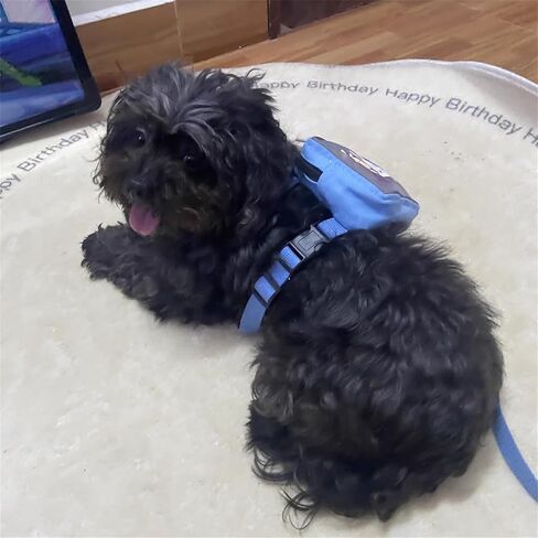 Dog Harness Backpack Cute Dog Vest Harness and Leash Set Plaid Soft Mesh Dog Harness with Adjustable Travel Food Back Pack Carrier Bags for Puppy Small Tiny Medium Dogs or Cats (Blue Rabbit, Small) in Saudi Arabia