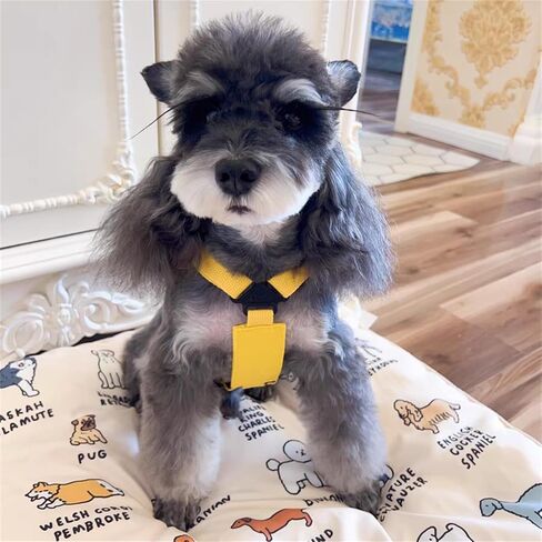 Dog Harness Backpack Cute Dog Vest Harness and Leash Set Plaid Soft Mesh Dog Harness with Adjustable Travel Food Back Pack Carrier Bags for Puppy Small Tiny Medium Dogs or Cats (Blue Rabbit, Small) in Saudi Arabia