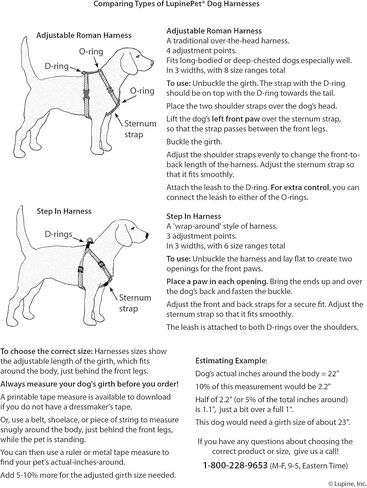 LupinePet Basics 1" Red 20-32" Adjustable Roman Dog Harness for Medium Dogs in Saudi Arabia