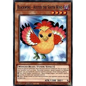 Blackwing - Auster the South Wind - LDS2-EN041 - Common - 1st Edition in Saudi Arabia
