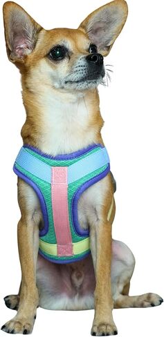 Blueberry Pet Vibrant Mesh Padded Ultra Cool Lightweight Dog Harness Vest in Mint, Small, Neck 15¾", Chest 14¾"~21" in Kuwait