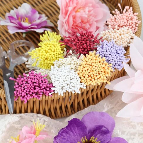 1800Pcs 10 Color Stamens for Flower Making Artificial Pistil Double Heads Matte Flower Stamen for Crafting Handmade DIY Scrapbooking Wedding Party Home Decoration, 2mm in Saudi Arabia