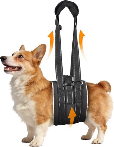 حزام رفع الكلاب المحمول حبال الكلاب، دعم الورك والساق الخلفية للكلاب الكبيرة، مساعد إعادة تأهيل لكبار السن المصابين والمعاقين جراحة الرباط الصليبي الأمامي K9 (M) in Kuwait