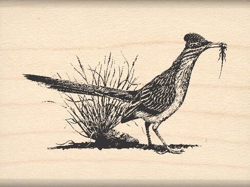 Stamps by Impression Roadrunner Scene Rubber Stamp - ST 0796 in Saudi Arabia