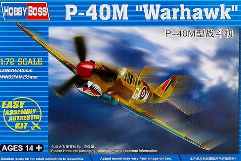 Hobby Boss P-40M Warhawk Airplane Model Building Kit in Saudi Arabia