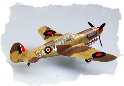 Hobby Boss P-40M Warhawk Airplane Model Building Kit in Saudi Arabia