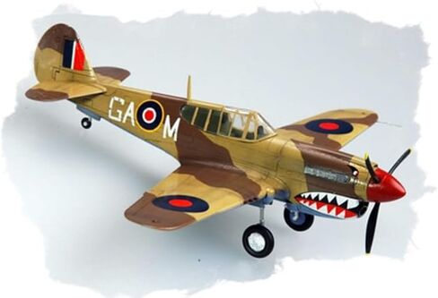 Hobby Boss P-40M Warhawk Airplane Model Building Kit in Saudi Arabia