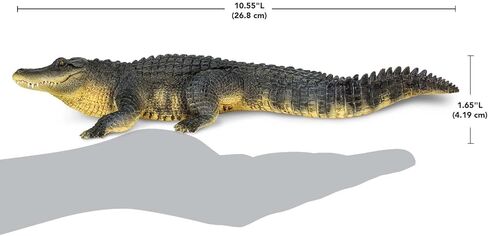 Safari Ltd. Alligator Figurine - Detailed 10.5" Plastic Gator Figure - Fun Educational Play Toy for Boys, Girls and Kids Ages 1+ in Saudi Arabia