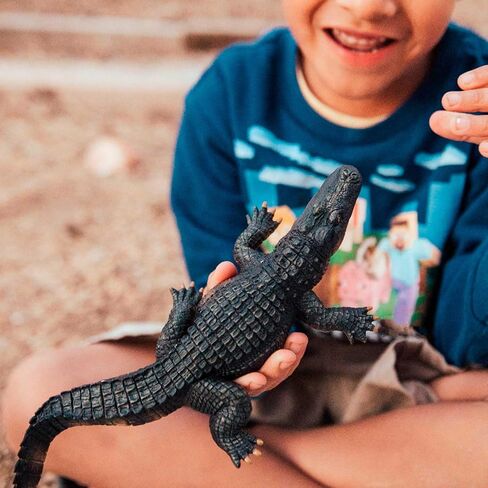 Safari Ltd. Alligator Figurine - Detailed 10.5" Plastic Gator Figure - Fun Educational Play Toy for Boys, Girls and Kids Ages 1+ in Saudi Arabia