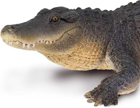 Safari Ltd. Alligator Figurine - Detailed 10.5" Plastic Gator Figure - Fun Educational Play Toy for Boys, Girls and Kids Ages 1+ in Saudi Arabia