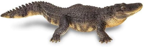 Safari Ltd. Alligator Figurine - Detailed 10.5" Plastic Gator Figure - Fun Educational Play Toy for Boys, Girls and Kids Ages 1+ in Saudi Arabia