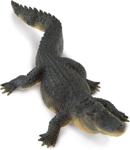 Safari Ltd. Alligator Figurine - Detailed 10.5" Plastic Gator Figure - Fun Educational Play Toy for Boys, Girls and Kids Ages 1+ in Saudi Arabia