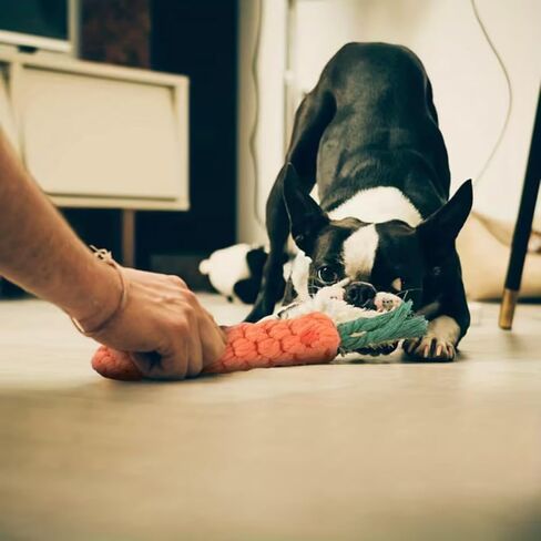 Carrot-Shaped Dog Toy Linen Durable Tear Resistant Tassel Interactive Tug of War Chew Toy for Medium Dogs Home Park Training, 1PC in Saudi Arabia