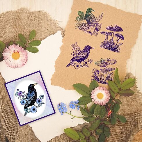 4Pcs 4 Styles PVC Plastic Clear Stamps, Raven and Mushroom Pattern Silicone Stamp, Silicone Transparent Rubber Stamp for DIY Scrapbooking Photo Album Decorative Cards Making, 2.17x2.17inch in Saudi Arabia
