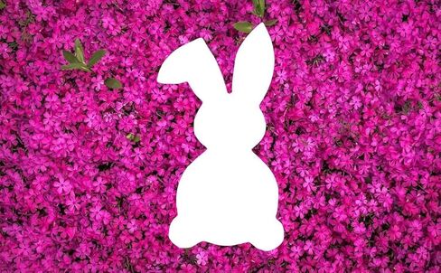 Reusable Sturdy Stencil - Easter Bunny Rabbit - 8.5" x 11" Cut Stencil Sheet for Arts and Crafts, Scrapbooking, Airbrush Painting, Drawing in Saudi Arabia